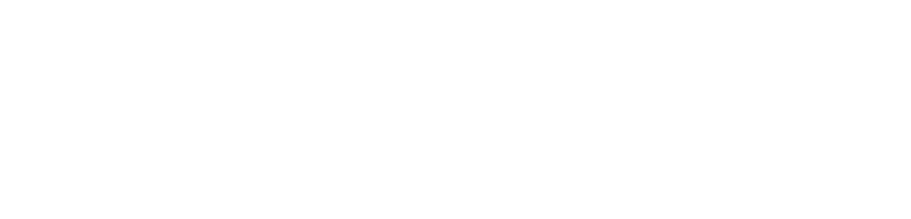 Verginale. Brand design and leather